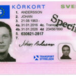 driving license
