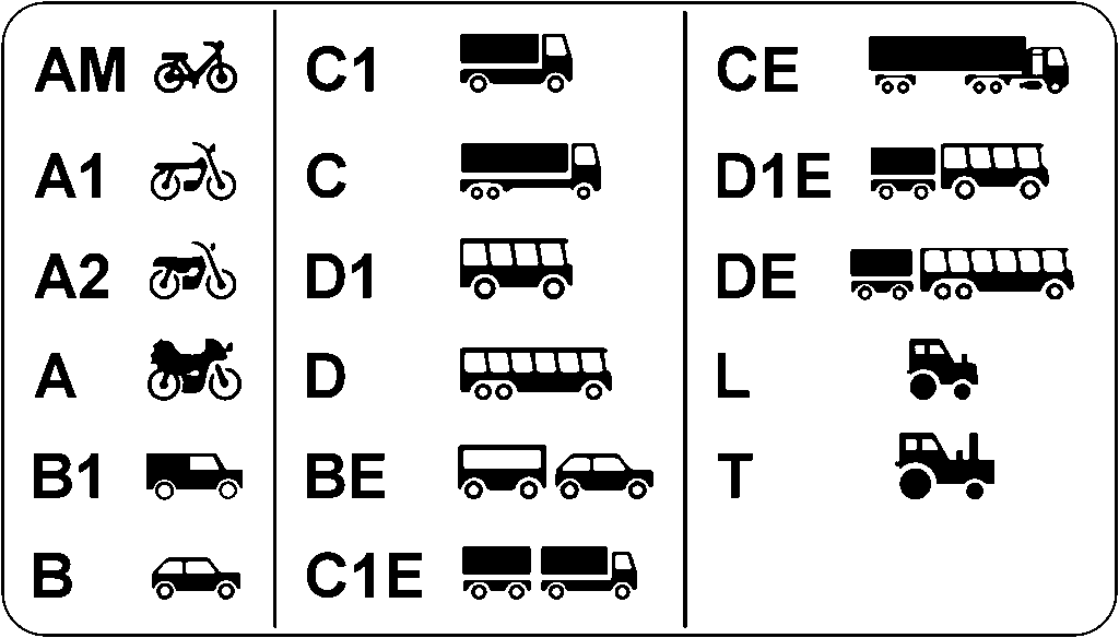 Driver’s License Category